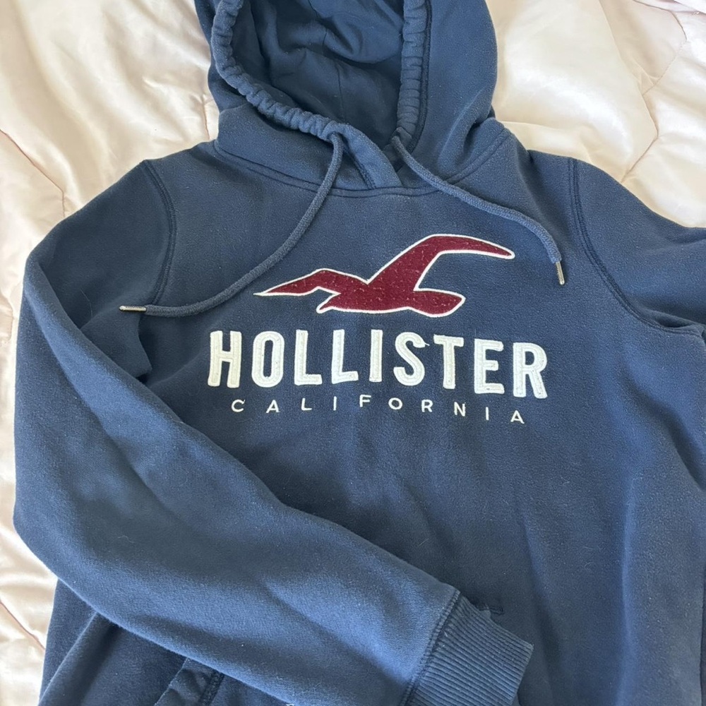 Hollister Co. Women's Blue and Navy Hoodie